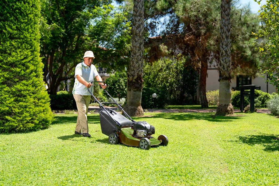 small battery operated lawn mower